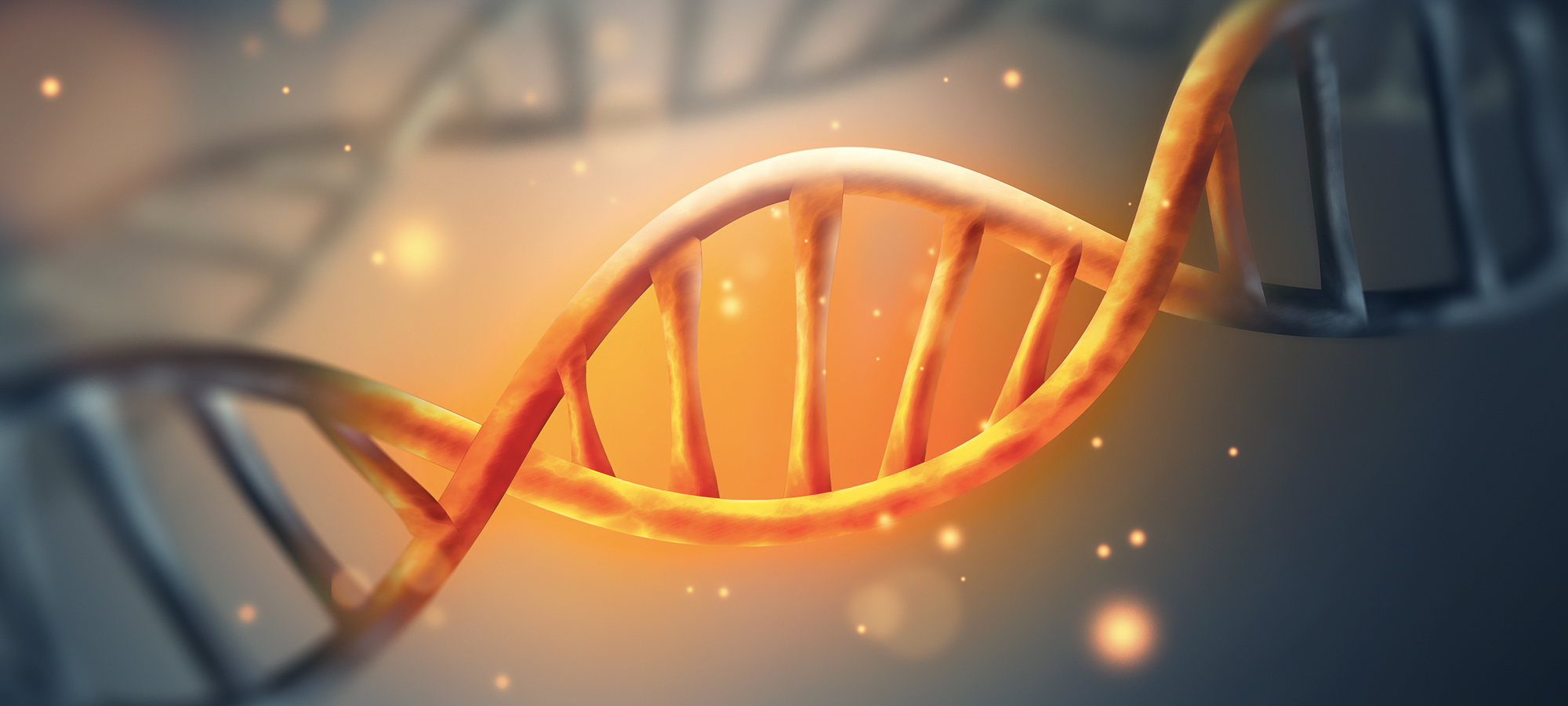 科技DNA链